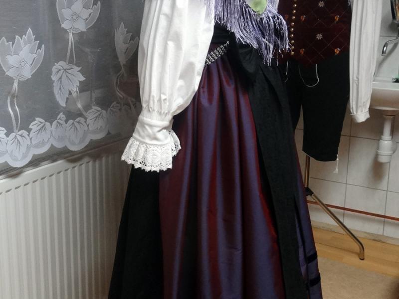 2013-01-18_18-28-03narodna_nosa