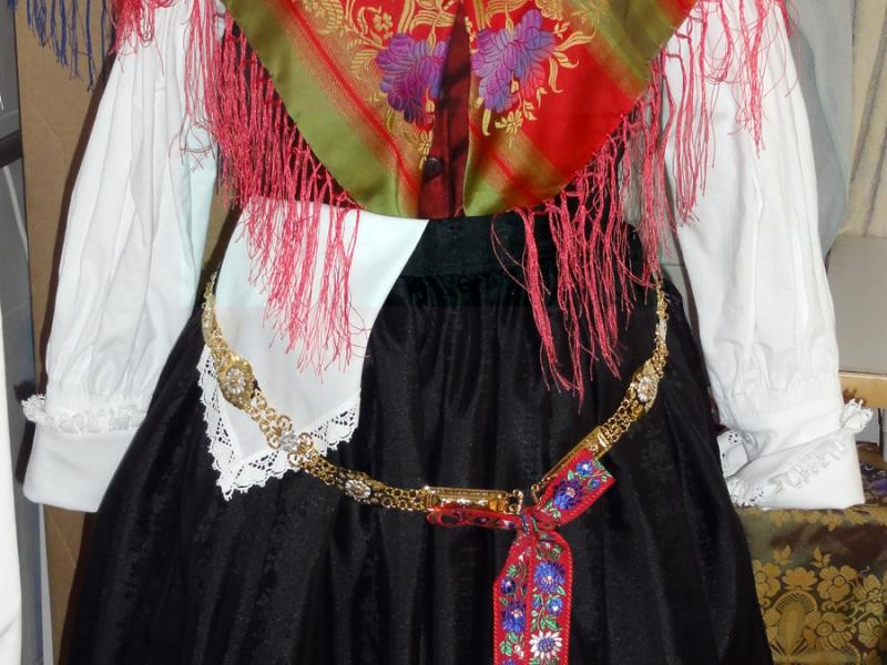 2012-03-25_09-50-07narodna_nosa